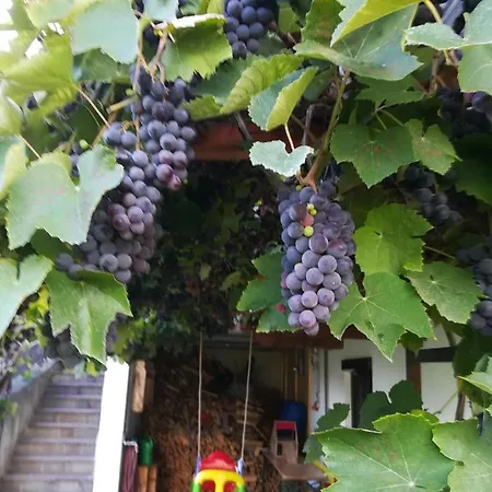 Ferienwohnung Familie Fiechtl Fuegenberg Buitenkant foto