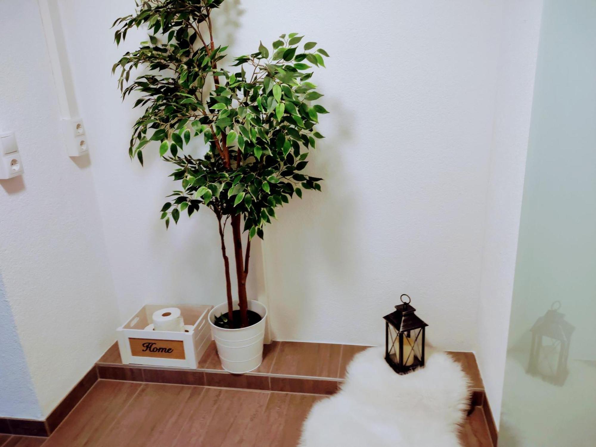 Apartment Familie Fiechtl *